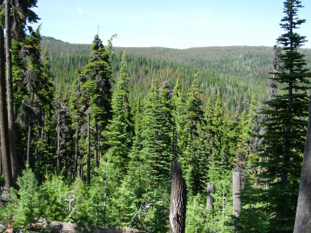 Summer '06 Sunriver 312 